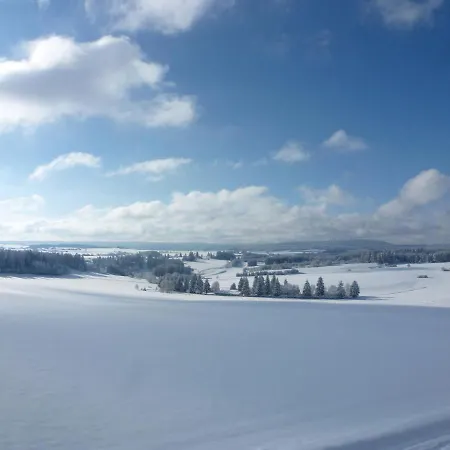 Сasa de vacaciones Schwarzwald By Interhome