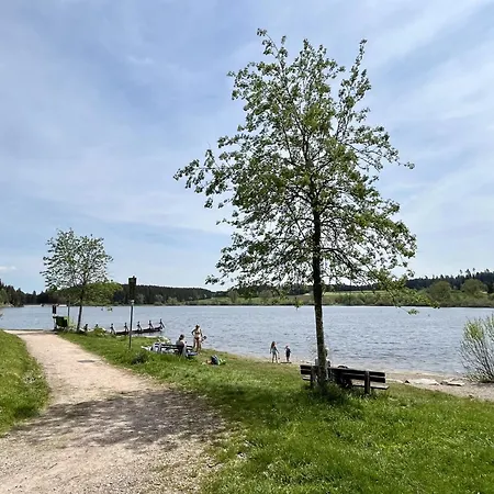 Schwarzwald By Interhome Dittishausen